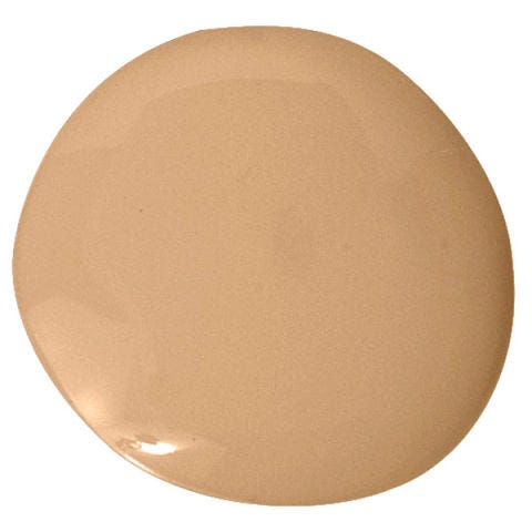 Paint Colors For Candlelight Flattering Benjamin Moore Roxbury Caramel Hc 42