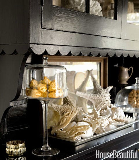 shell collection