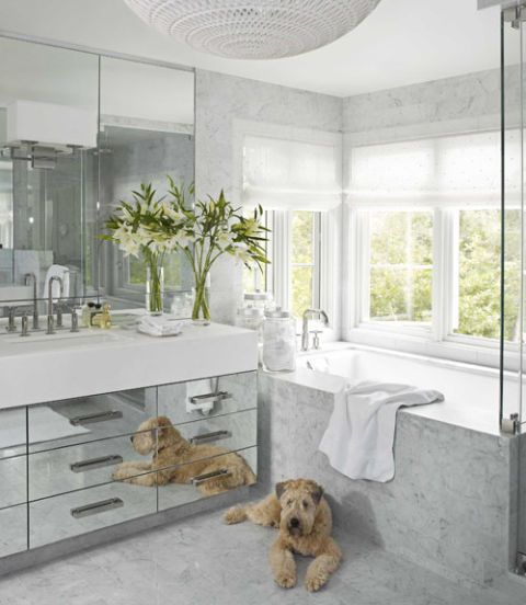 Room, Interior design, Floor, Glass, Dog breed, White, Carnivore, Flooring, Ceiling, Wall, 