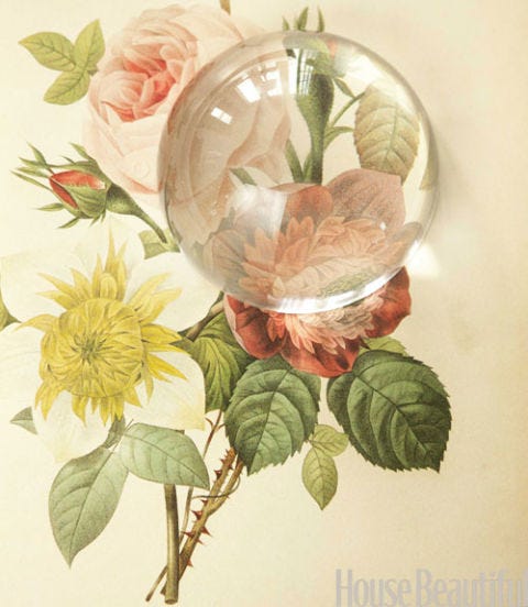 a flower print under a clear glass paperweight