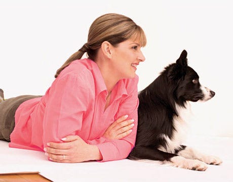 Housebreaking Dogs Dog Training Dog Behavior