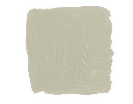 taupe paint swatch
