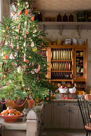 edible tree in the kitchen