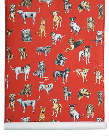 red dog print wallpaper