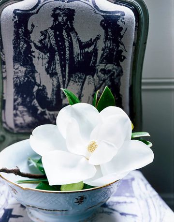 magnolia in a bowl on a chair