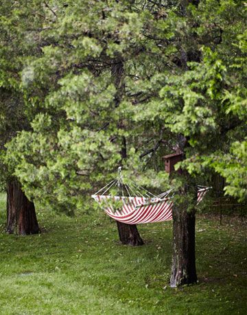 a red striped hammock hanging between two trees