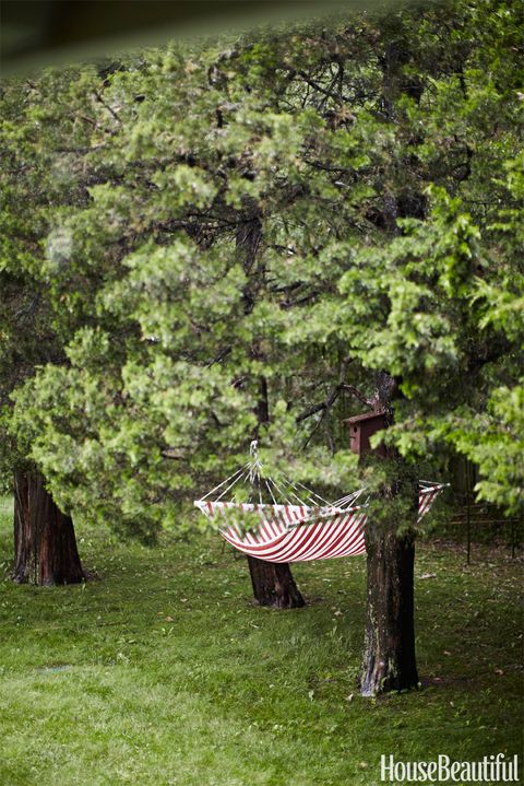 red stripe hammock
