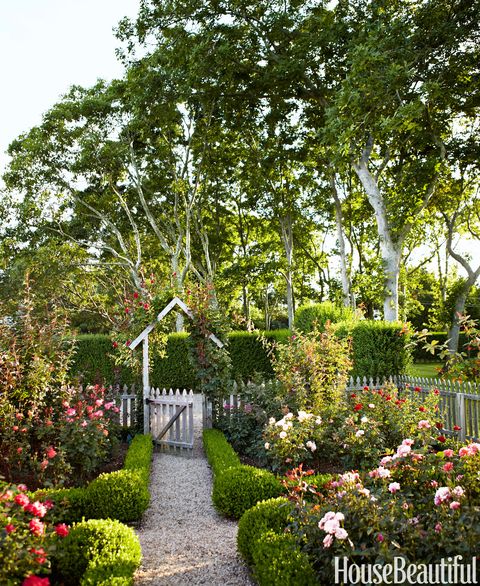 english garden design