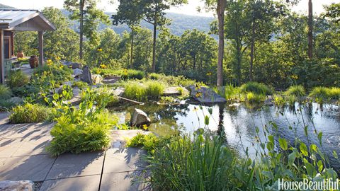 all natural swimming pool