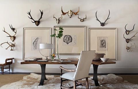 Bedroom, Furniture, Interior design, Deer antlers, Dining room, Wall, Table, Branch, Horn, Wallpaper, 