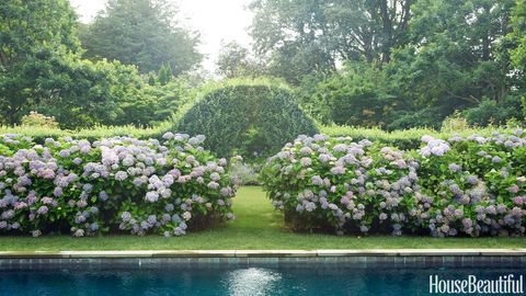 pool garden