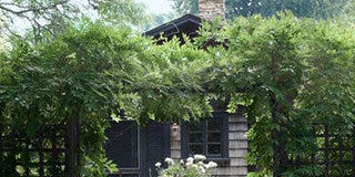 28 New Ideas for Your Garden