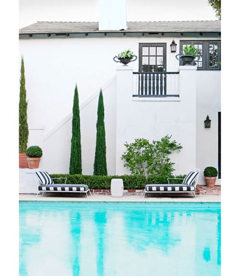 view of the pool and back of the house with white stucco walls and italian cypress trees