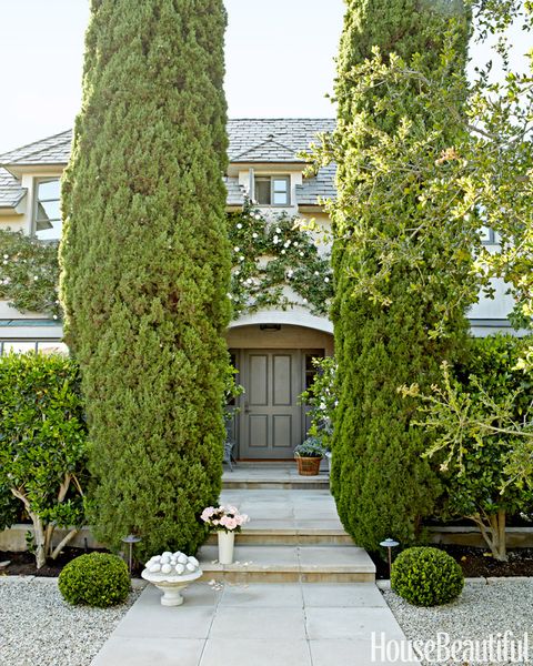 cypress trees front door