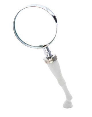 magnifying glass