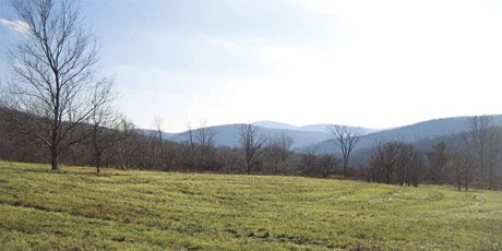 site where the house was going to be built