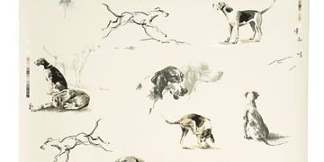 black and white dog print wallpaper
