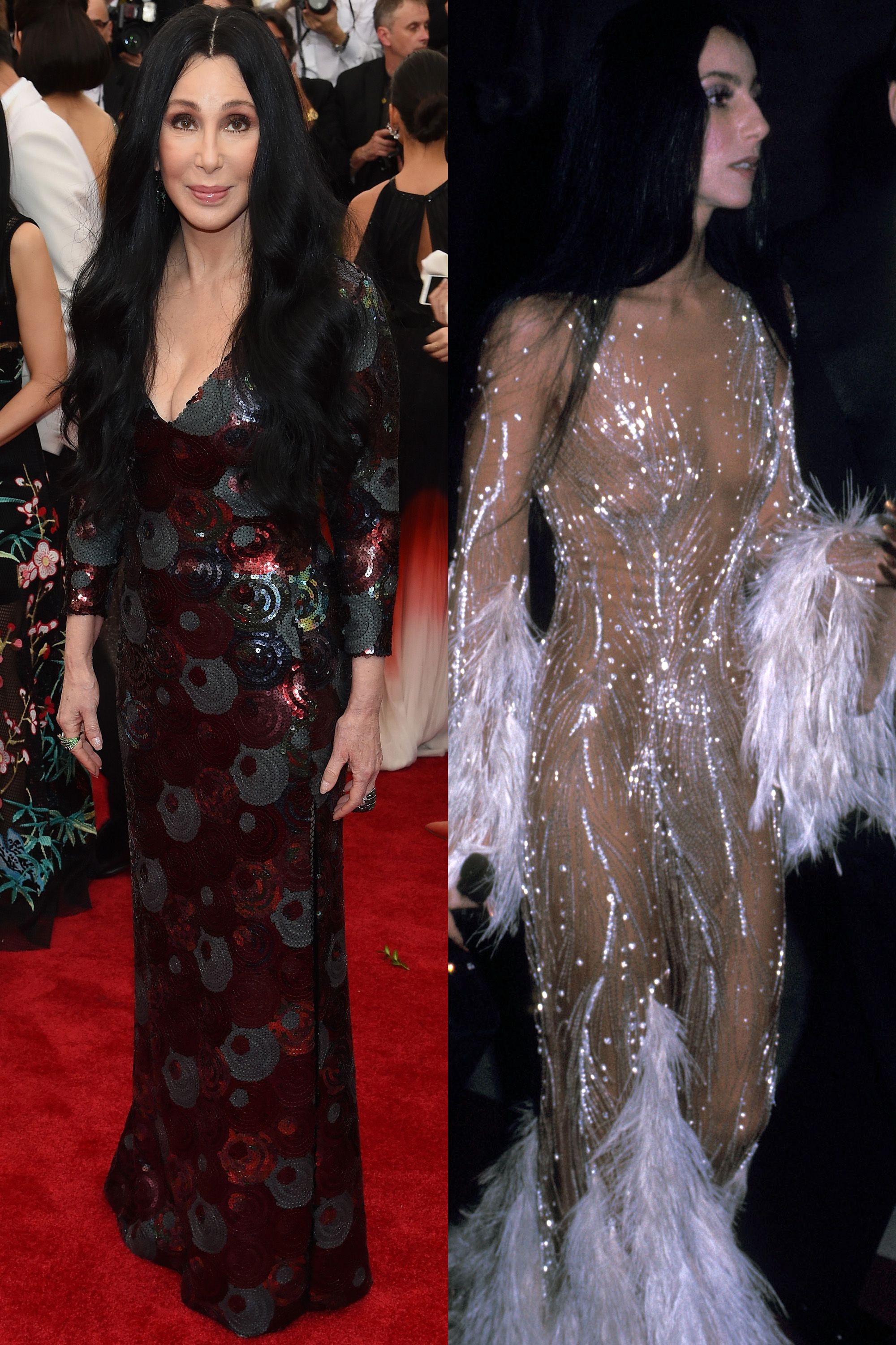 cher met gala dress