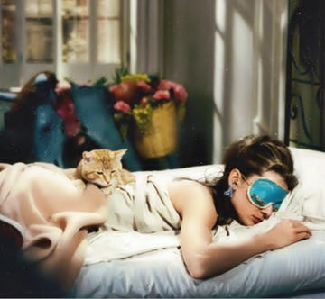 Photograph, Room, Comfort, Photography, Nap, Companion dog, Felidae, Love, 