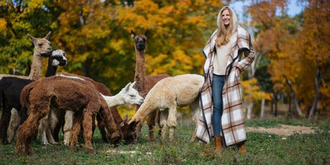 Alicia Adams Collection Best Fall Fashion 2017 Image