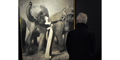Dovima <p>At the height of her fame in the '50s, Dovima was said to be the highest paid model in the world. She ushered in a new era of elegance, working with iconic photographers like Irving Penn and Richard Avedon to create unforgettable images. "Dovima with Elephants," taken in 1955 by Richard Avedon, remains an industry legend. It has everything the future of fashion photography would seek to encompass: beauty, grace, elegance, drama, and controversy.</p>