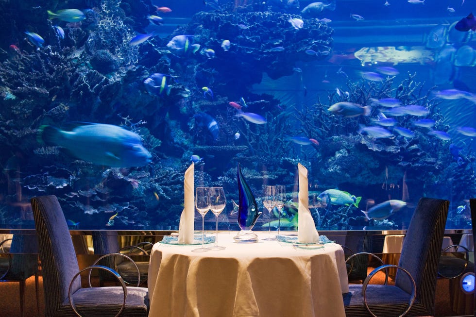 Tablecloth, Organism, Vertebrate, Underwater, Fish, Furniture, Linens, Majorelle blue, Electric blue, Marine biology, 