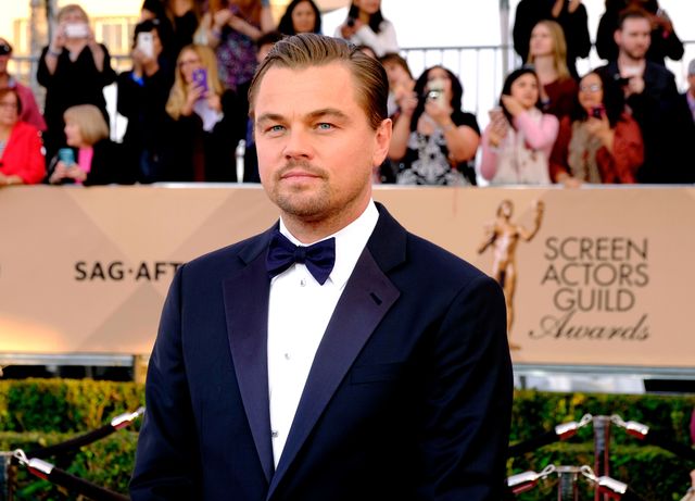 Proof That the Internet Loves Leonardo DiCaprio More than Any Other Actor