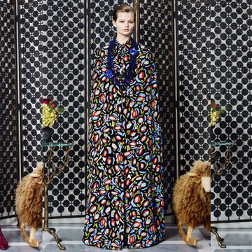 Vertebrate, Carnivore, Dress, Pattern, Fur, Street fashion, Fawn, Canidae, Dog breed, Felidae, 
