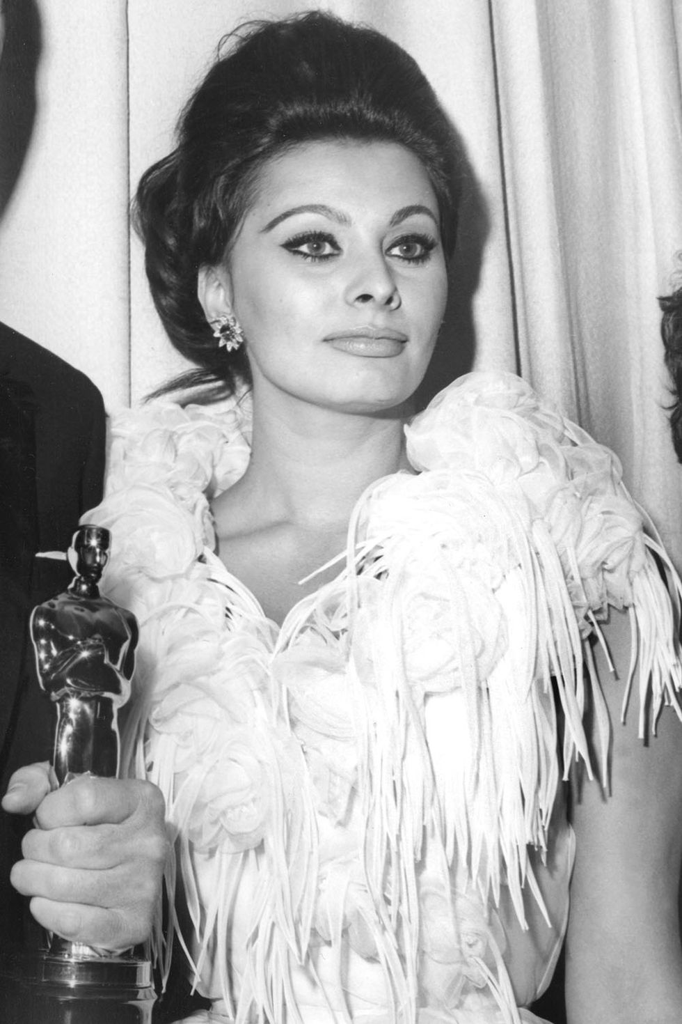 <p>Sophia Loren in 1963</p>