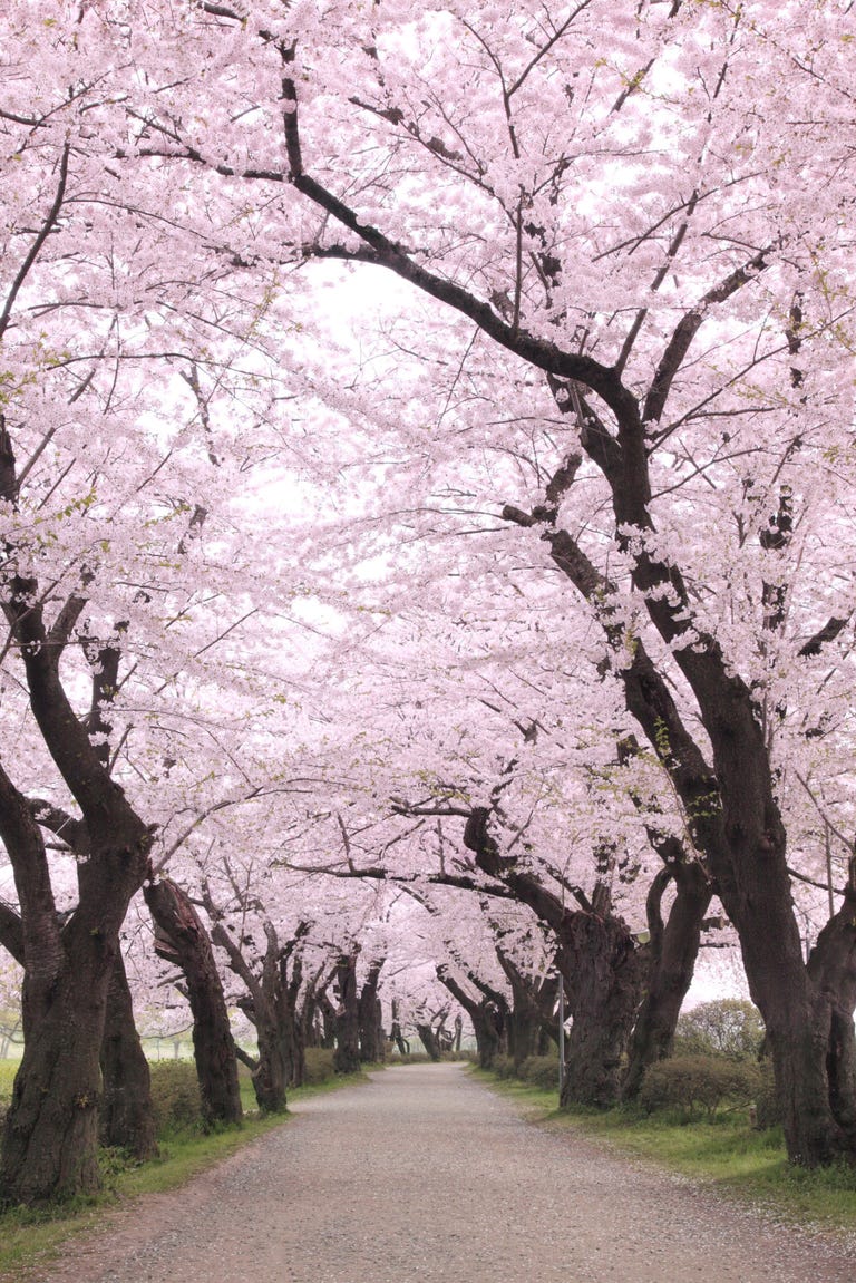 30 Most Beautiful Places in the World  Add These Destinations to Your Travel Bucket List