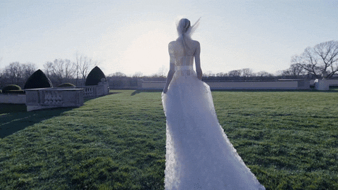 Vera wang mother of the bride dresses 2017 sale
