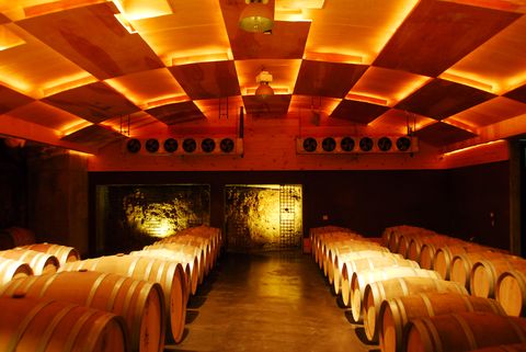 Brown, Yellow, Infrastructure, Orange, Interior design, Red, Ceiling, Winery, Amber, Line, 