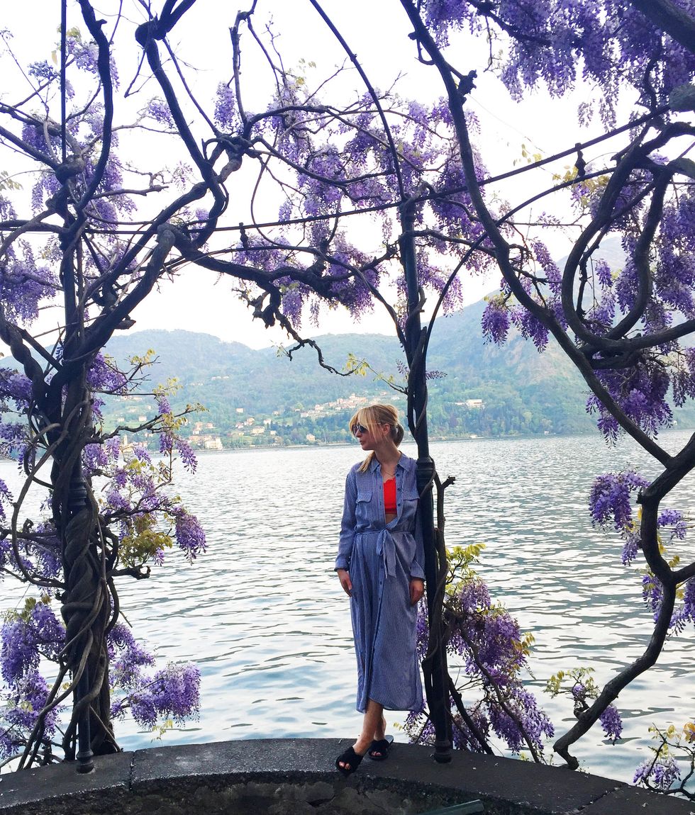 Branch, Twig, Purple, People in nature, Lavender, Violet, Spring, Street fashion, Lake district, Painting, 