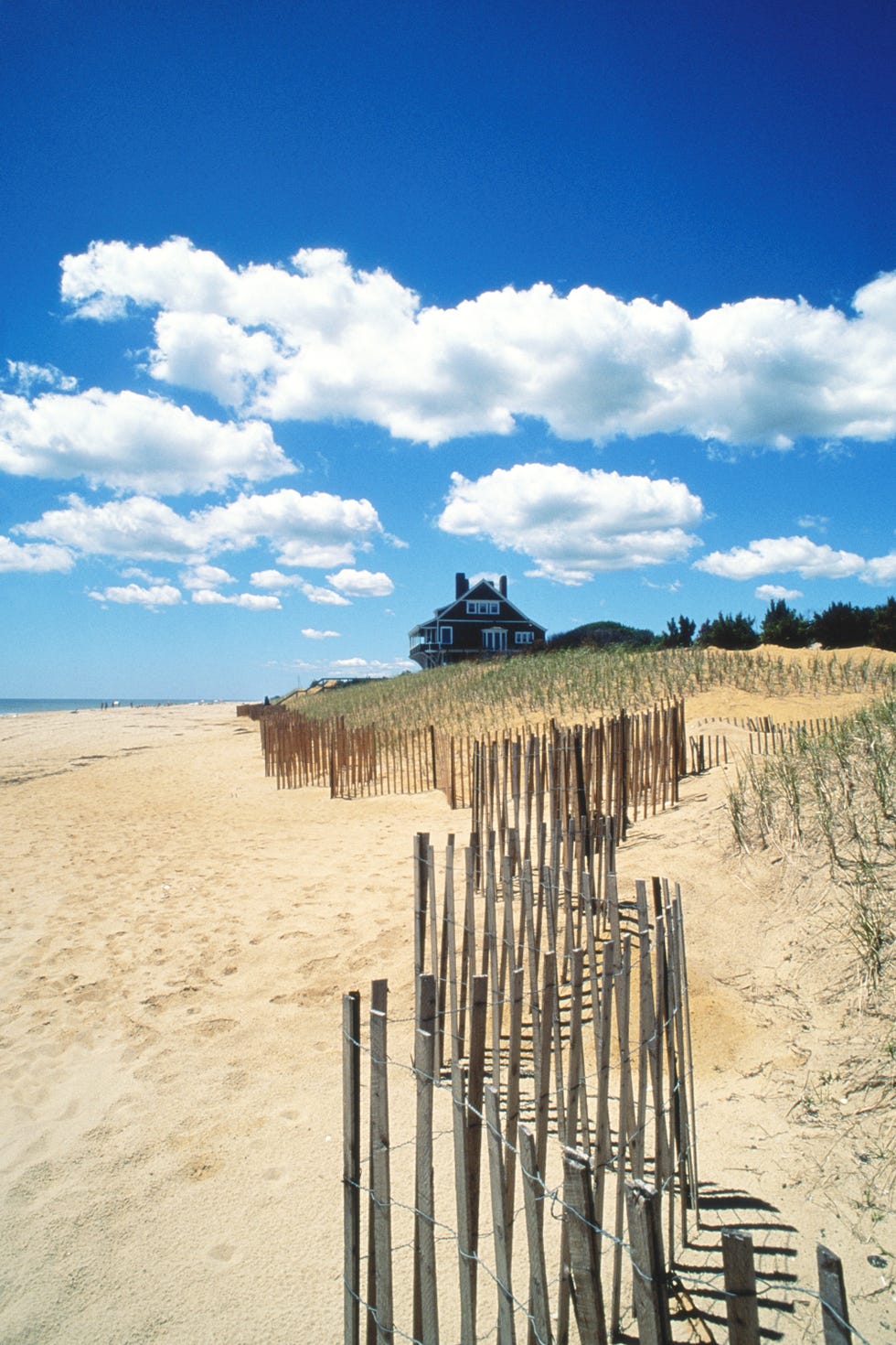 The Hamptons <p>I love heading out East for long weekends, spending long days at the beach and nights cooking with friends and building beach bonfires. My favorite Hamptons spots are definitely <a href="http://www.davesgrill.com/" target="_blank">Dave's Grill</a> and <a href="https://www.facebook.com/pages/Big-Olafs/105807022811799" target="_blank">Big Olaf's Ice Cream</a> for dinner and dessert when we're not entertaining, and <a href="http://tenetshop.com/" target="_blank">Tenet</a> in Southampton is my go-to whenever we're shopping around town. - <em>Amanda Alagem, Executive Accessories Editor</em><em></em></p>