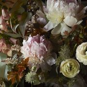 Petal, Flower, Flowering plant, Botany, Still life photography, Annual plant, Bouquet, Floristry, Rose family, Rose order, 