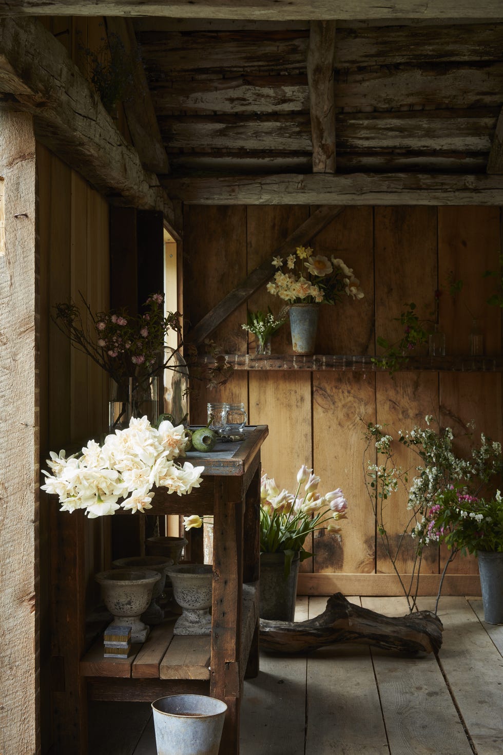 Plant, Wood, Flowerpot, Petal, Flower Arranging, Floristry, Interior design, Floral design, Still life photography, Houseplant, 