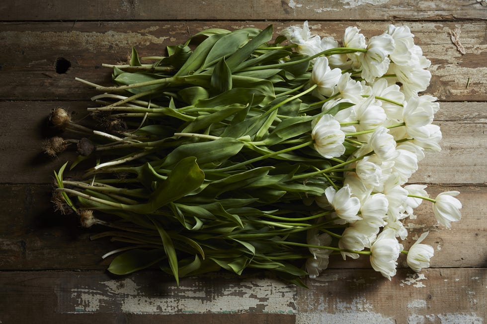 Petal, Floristry, Flower Arranging, Bouquet, Flowering plant, Floral design, Cut flowers, Still life photography, Whole food, Tulip, 