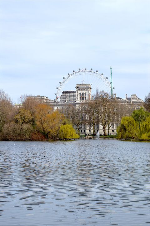 <p>London wouldn't be what it is without its Royal Parks. St James's Park is perfect for a Sunday walk, and don't forget to bring some food for the ducks and squirrels–you don't want to disappoint them!  </p>