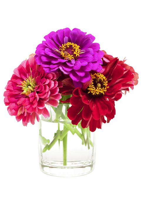 Petal, Flower, Bouquet, Cut flowers, Centrepiece, Floristry, Flower Arranging, Artifact, Vase, Magenta, 