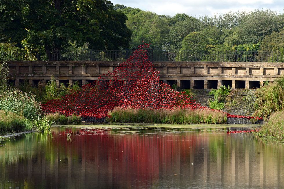 Vegetation, Nature, Shrub, Leaf, Natural landscape, Garden, Reflection, Bridge, Pond, Botany, 