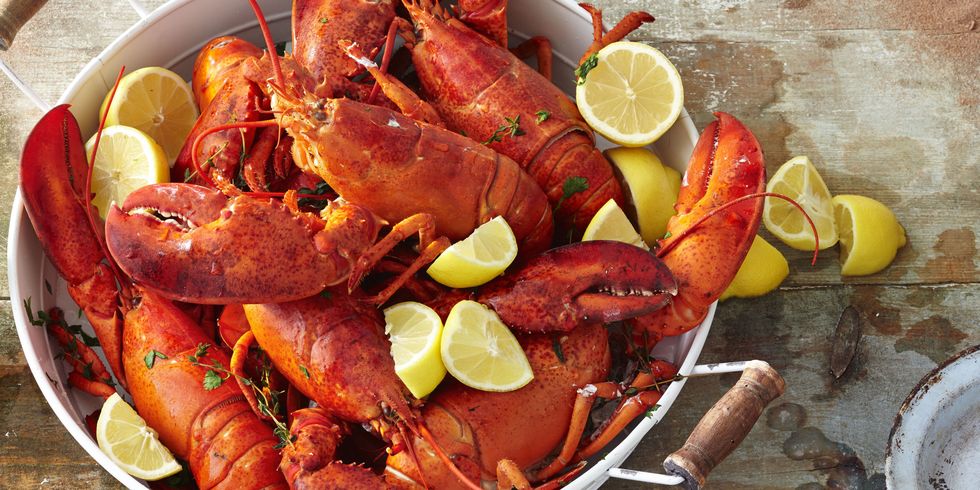 Best Lobster Recipes Best Lobster Recipe And Drink Pairings