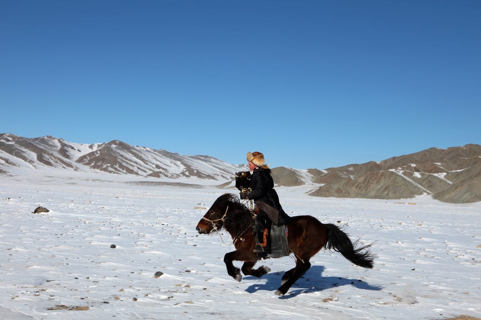 Eagle Huntress