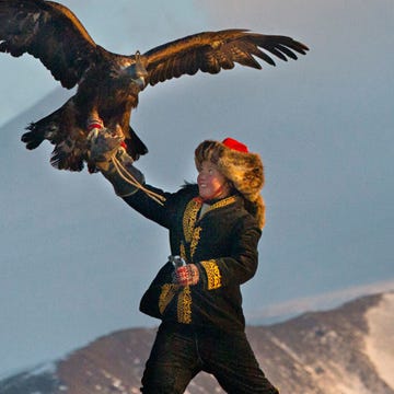Eagle Huntress Eagle Huntress