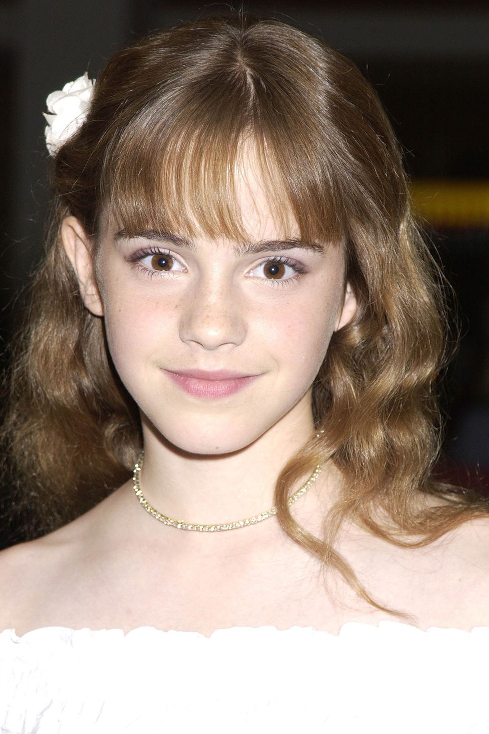 <p>Back in 2002, Hermione Granger and Watson shared the same hairstyle—wispy bangs and natural curls.</p>