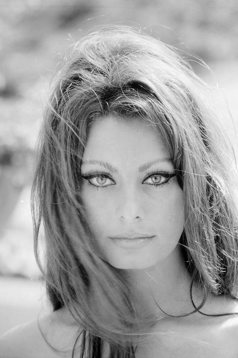 Photos of Sophia Loren - Sophia Loren In Photos