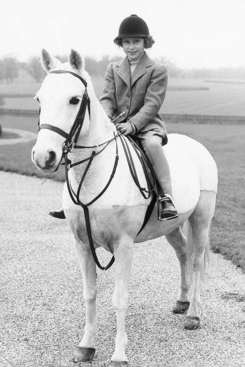 Horse, Bridle, Mammal, Vertebrate, Halter, Rein, Equestrianism, Photograph, Horse tack, Equestrian helmet, Horse, Bridle, Mammal, Vertebrate, Halter, Rein, Equestrianism, Photograph, Horse tack, Equestrian helmet,