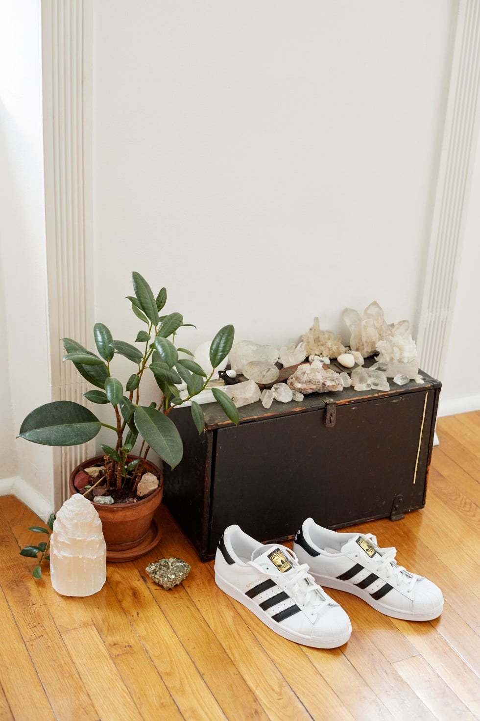 <p><strong data-redactor-tag="strong" data-verified="redactor">Her Shoe Game: </strong>" I'm almost always in a flat loafer—classic Guccis are my current favorites—or a pair of Adidas sneakers, either the classic shell toe or Gazelle style."</p>

<p><strong data-redactor-tag="strong" data-verified="redactor">Her Home Decor: </strong>"I'm <em data-verified="redactor" data-redactor-tag="em">big</em> into plants and have loads of crystals. Both have a healing energy that helps fuel creativity."</p>

<p><em data-redactor-tag="em" data-verified="redactor">Adidas 'Superstar' Sneaker, $80, <a href="http://shop.nordstrom.com/s/adidas-superstar-sneaker-women/3842608?&amp;cm_mmc=Mindshare_Nordstrom-_-DecemberShoes-_-Hearst-_-proactive" target="_blank" data-tracking-id="recirc-text-link">nordstrom.com</a>.</em></p>
