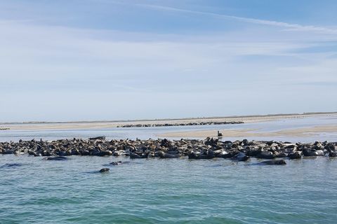 Kust-en oceanische reliëf, Water, Vloeistof, zee, Horizon, Kust, Zee, Kust, Strand, Geluid