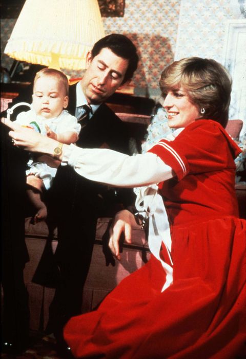 <p>Princess Diana wore a festive red velvet dress in this portrait with Prince Charles, and the infant Prince William. </p>