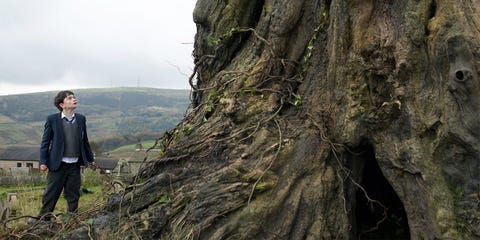 January 6: 'A Monster Calls' <p>When a young boy's mother is diagnosed with a terminal disease, he seeks solace and advice from a tree monster. Lewis MacDougall, Sigourney Weaver, Felicity Jones, and Liam Neeson star in this film based on Patrick Ness's children's novel of the same name. </p><p>Watch the trailer <span class="redactor-invisible-space" data-verified="redactor" data-redactor-tag="span" data-redactor-class="redactor-invisible-space"><a href="https://www.youtube.com/watch?v=R2Xbo-irtBA&t=4s" target="_blank" data-tracking-id="recirc-text-link" data-external="true">here</a>.</span><br></p>